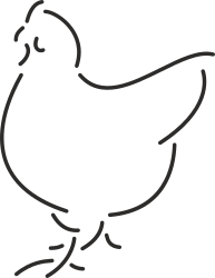 Chicken Outline Clipart on Black Background
