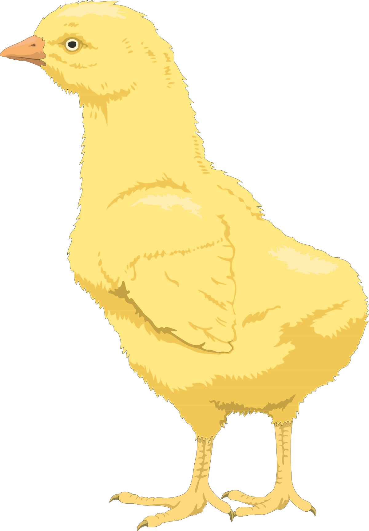Yellow Chicken Standing on Hind Legs Clipart