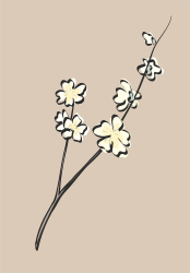 White Flowers Branch Clipart - Elegant Floral Illustrations