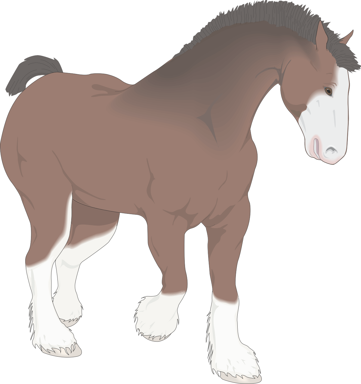 a horse with white legs and a brown mane clip art png transparent Horse with White Legs and Brown Mane Clipart for Creative Projects