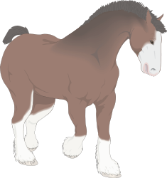 Horse with White Legs and Brown Mane Clipart for Creative Projects