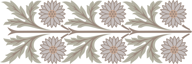 Decorative Borders and Floral Plant Clipart in CM21 Style