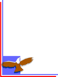 Eagle Flying Over Picture Frame - Stunning Borders and Corners Clipart
