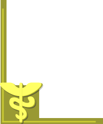 Dollar Symbol Frame Clipart - Decorative Borders and Corners