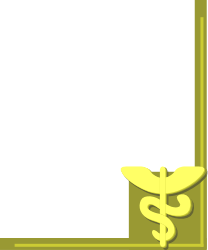 Dollar Sign Frame Clipart - Decorative Borders and Corners