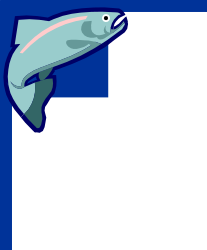 Dolphin with Fish Clipart - Perfect Borders and Corners Design