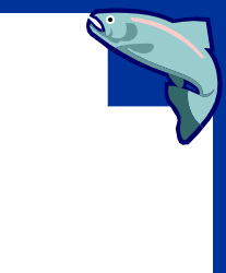 Dolphin Jumping Out of Water Clipart | Vibrant Ocean Scene
