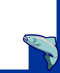 Dolphin Jumping Out of Blue Frame - Vibrant Clipart Design