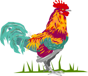 Colorful Rooster Standing in Grass Clipart
