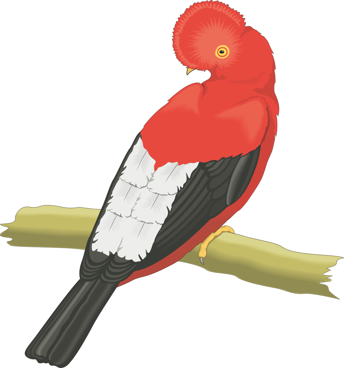 Red Bird on a Branch Clipart - Vibrant Wildlife Illustration