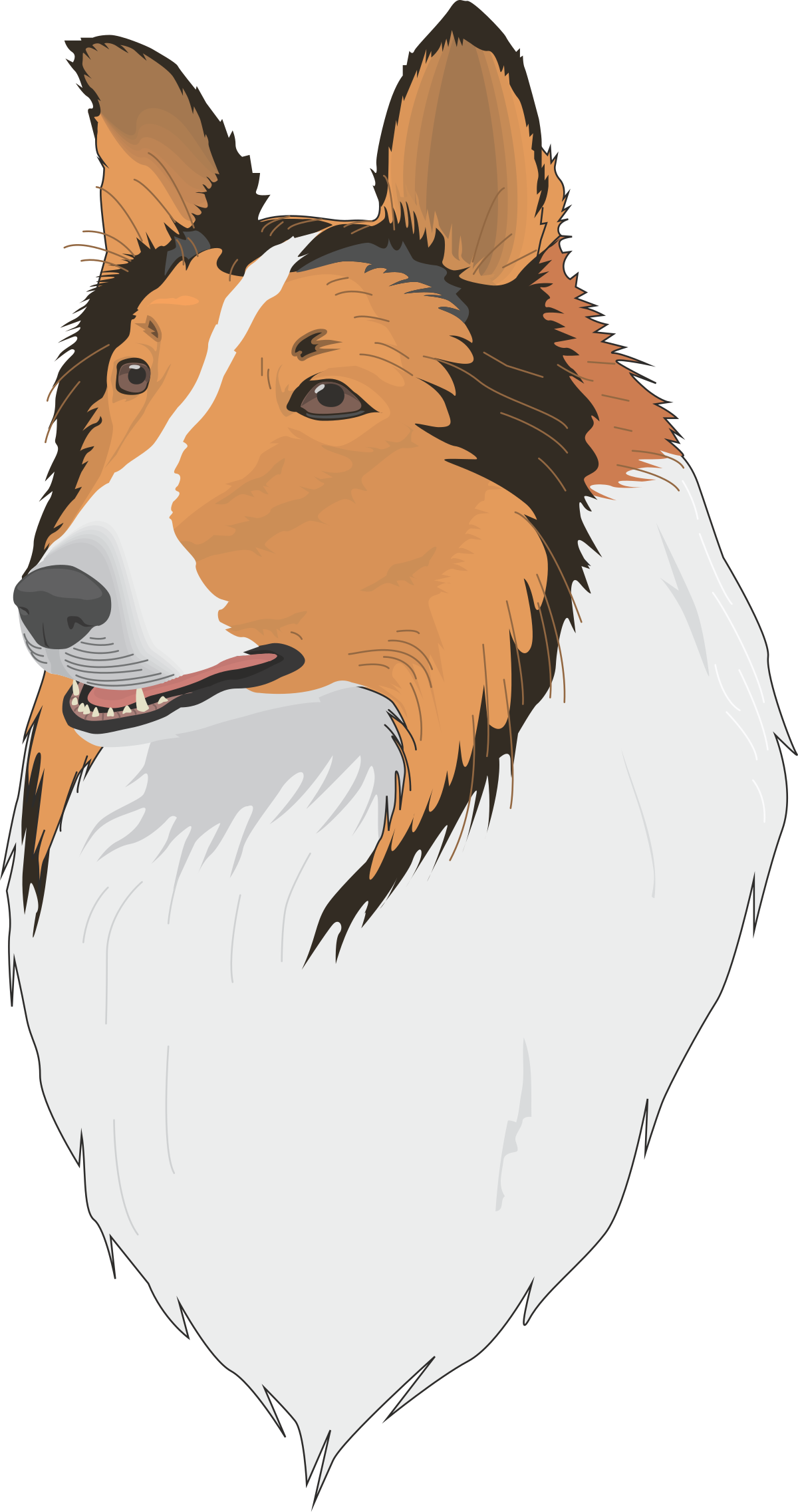 a dog with a white face and brown hair clip art png transparent White Face Dog with Brown Hair Clipart - Playful and Charming