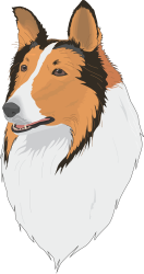 White Face Dog with Brown Hair Clipart - Playful and Charming