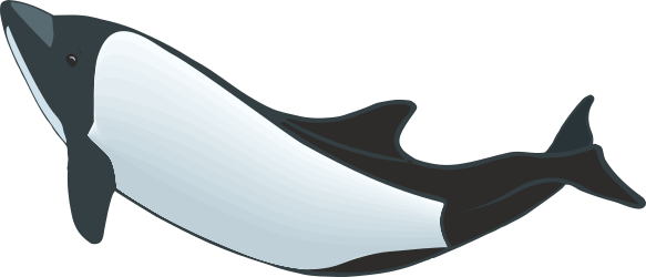Killer Whale Clipart: Black and White Tail Graphic