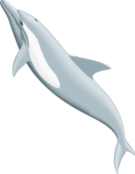 Dolphin Swimming in Ocean Clipart - Vibrant Marine Life Art