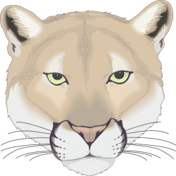 Mountain Lion Face Clipart: Fierce and Majestic Animal Art