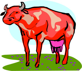 Red Cow in a Lush Green Field Clipart