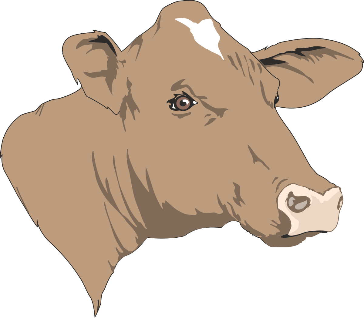 a brown cow with white spots on its face clip art png transparent Brown Cow with White Spots - Perfect Clipart for Farm Themes