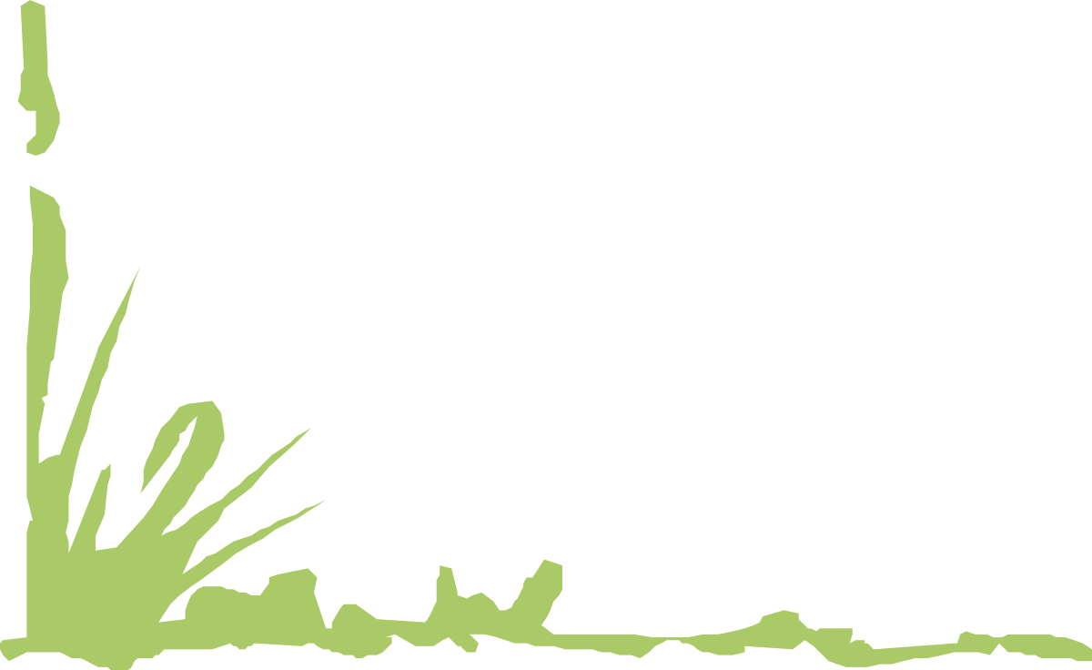 Green Frame Clipart with Tree and Grass Borders