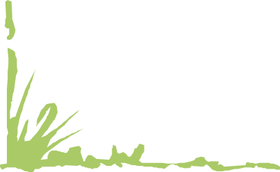 Green Frame Clipart with Tree and Grass Borders