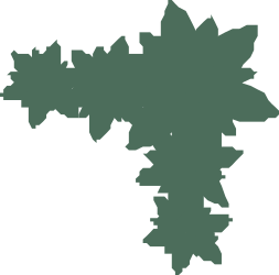 Ireland Map Clipart: Detailed Borders and Corners for Creative Projects