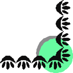 Green Apple Clipart with Black Background - Borders & Corners Design