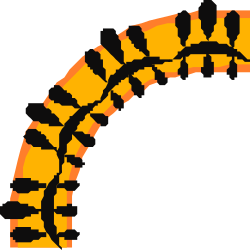 Yellow and Black Pattern Circle Clipart - BORDERS & CORNERS Designs