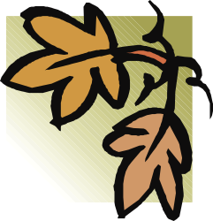 Branch with Leaves Clipart - Decorative Borders and Corners