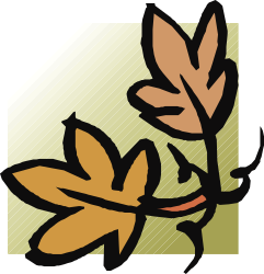 Leaf Clipart with Green Background - Elegant Borders and Corners