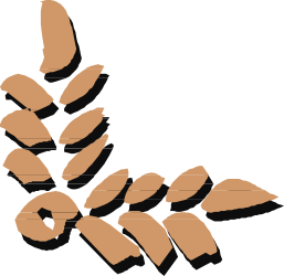 Plant Clipart - Elegant Borders and Corners in Black and White