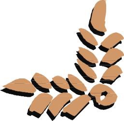 Wheat Borders and Corners Clipart on Black Background