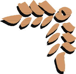 Brown Leaves Clipart: Decorative Borders and Corners