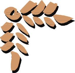 Leaves Clipart: Decorative Borders and Corners Design
