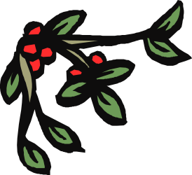 Red Flower Branch Clipart - Beautiful Borders and Corners Design