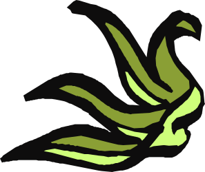 Black and Green Bird with Long Tail Clipart - Elegant Borders and Corners