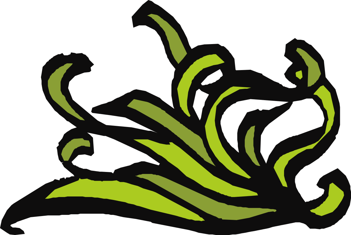 Green and Black Flower Clipart for Elegant Borders and Corners