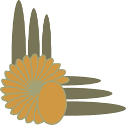 Flower with Shadow on Ground - Elegant Borders and Corners Clipart