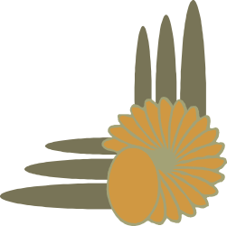 Flower Shadow Clipart - Beautiful Borders and Corners Design