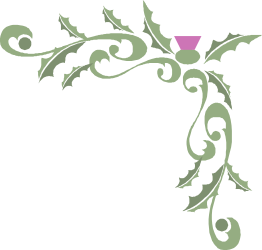 Flower Clipart: Vibrant Green and Pink Floral Borders and Corners