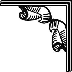 Zebra Corners and Borders Clipart - Elegant Framed Designs