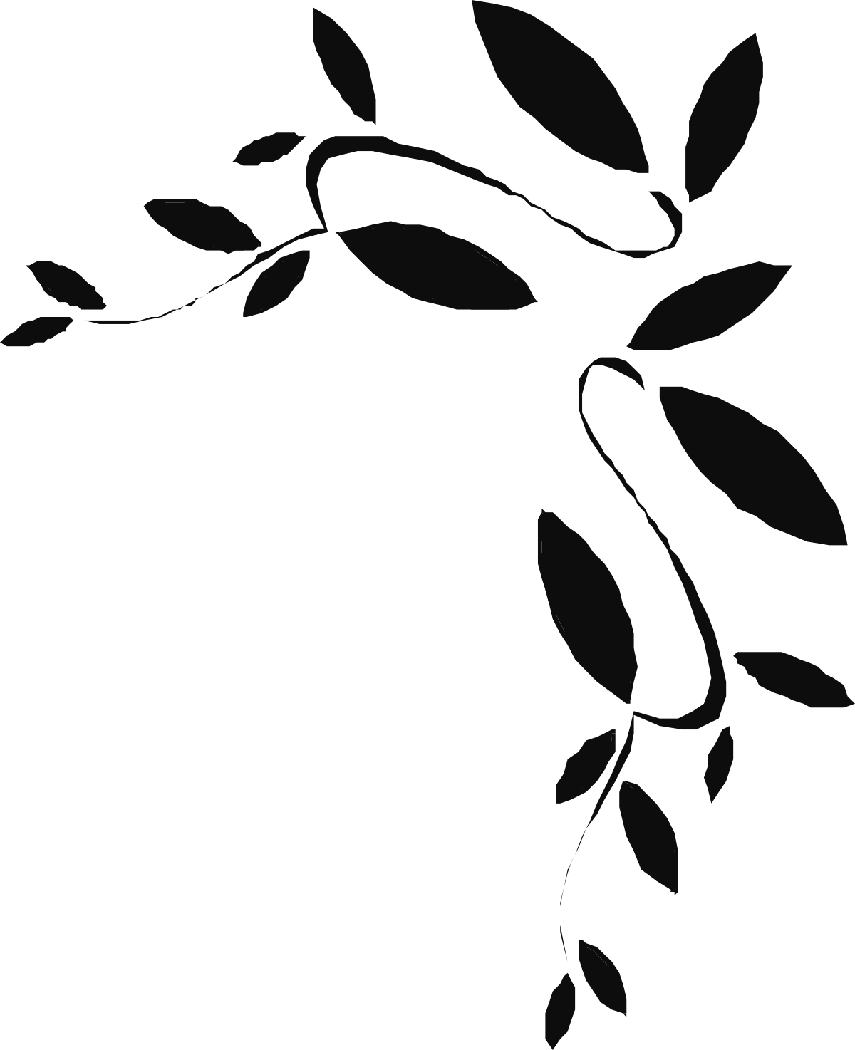 Black and White Tree Silhouette Clipart - Elegant Borders & Corners