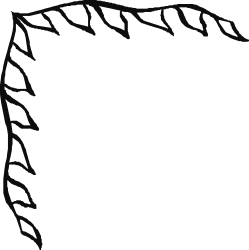 Black and White Torn Paper Clipart - Borders and Corners