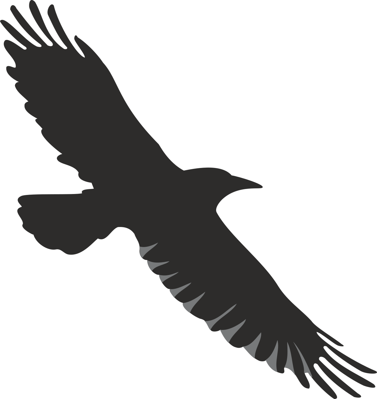 Black and White Bird Flying Clipart for Creative Projects