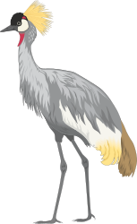 Long-Necked Bird Clipart - Elegant and Graceful Design