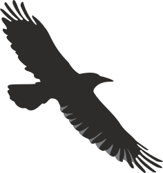 Black and White Bird Flying Clipart for Creative Projects