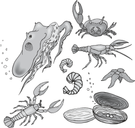 Animals Clipart Collection: Diverse Types for Every Project