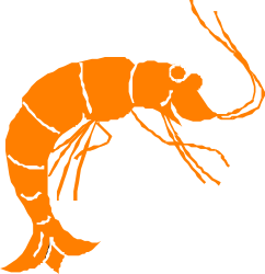 Shrimp Silhouette Clipart - Perfect for Seafood Themes