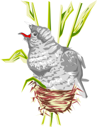 Bird Nest Clipart: Charming Nest with a Bird on Top