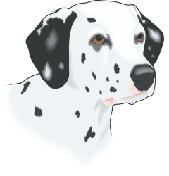 ANIMALS,PETS,DALMATIN clipart