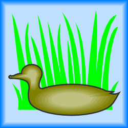 BIRDS,DECOY clipart