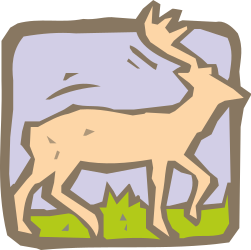 ANIMALS,WILD,DEER01 clipart